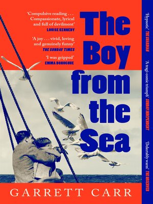 cover image of The Boy from the Sea